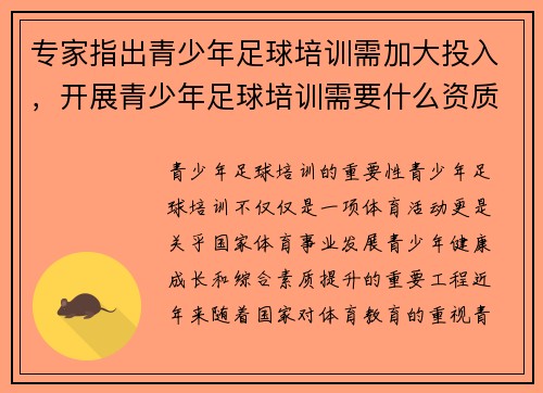 专家指出青少年足球培训需加大投入，开展青少年足球培训需要什么资质