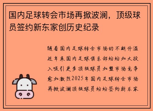 国内足球转会市场再掀波澜，顶级球员签约新东家创历史纪录